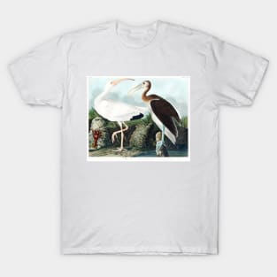 White Ibis from Birds of America (1827) T-Shirt